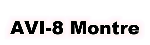 AVI-8 Montre